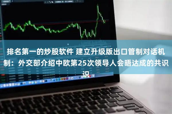 排名第一的炒股软件 建立升级版出口管制对话机制：外交部介绍中欧第25次领导人会晤达成的共识